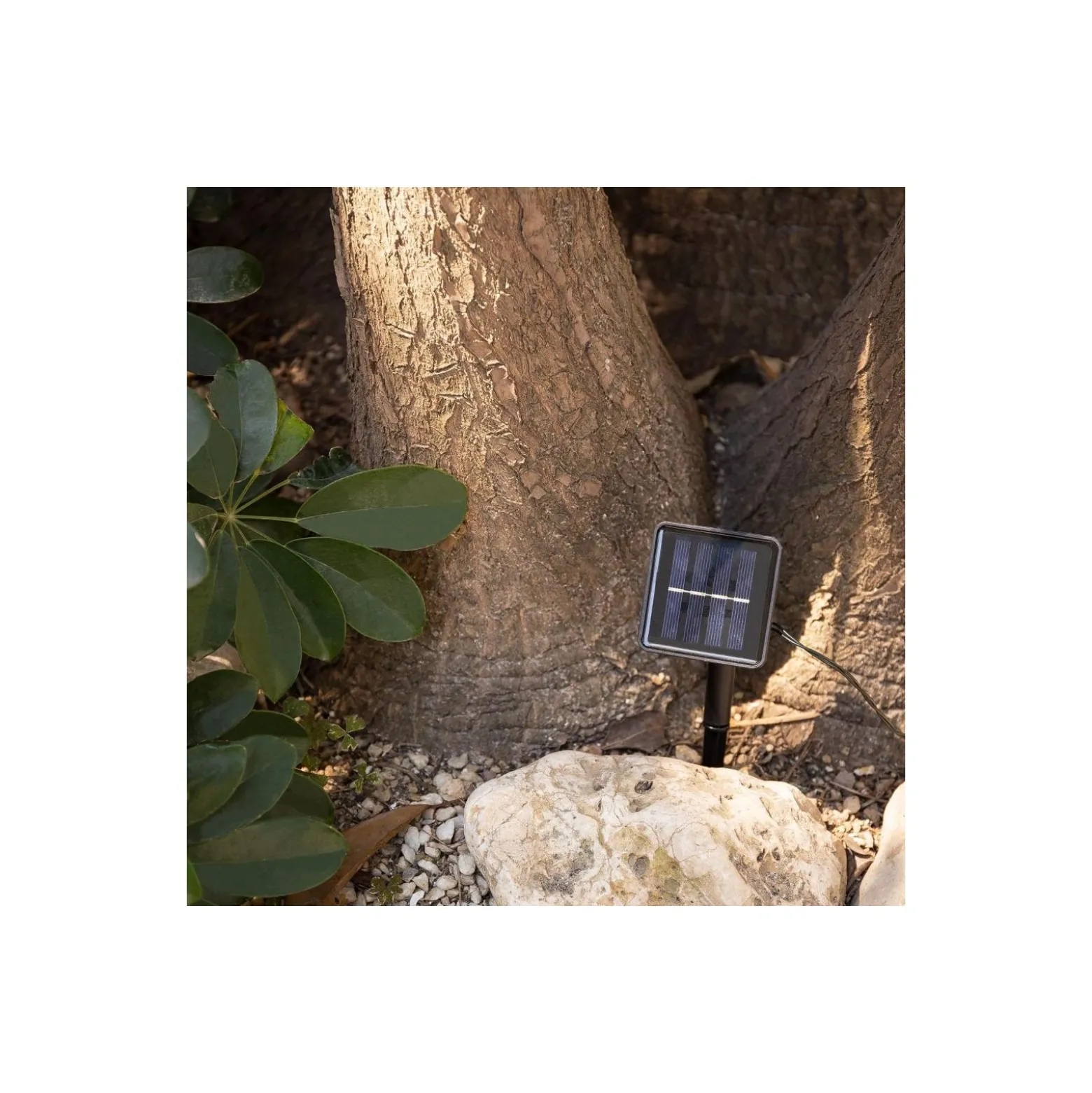 Bright Choice Ljusslinga LED Moonballs ABS 1W 20lm - 830 Varm Vit | Solar