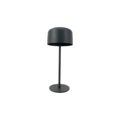 Eglo Bordslampa Roccanova Solar Stål Svart 2W 270lm - 830 Varm Vit | IP44 - Touchdimmerbar - USB-C