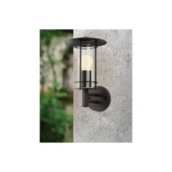 Eglo Vägglampa Lisio 1 Rostfritt Stål Svart | IP44 - Passande för 1x E27