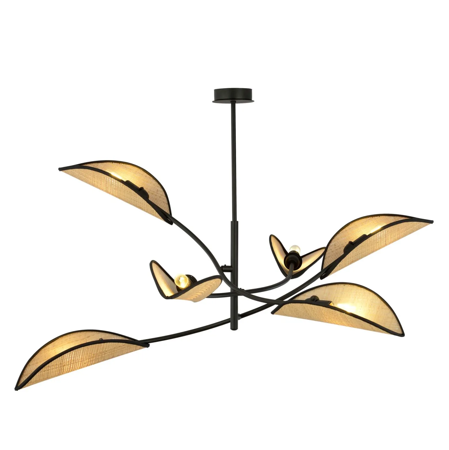 Emibig Taklampa Lotus Stål Svart | Passande för 6x E14 - Max 10W