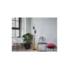 Ledvance Decor Golvlampa Drums Svart | Passande för 2x GU10
