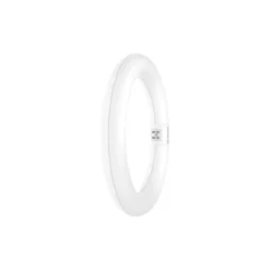 Ledvance LED Rör T9 Value Cirkulär (EM/Mains) 11W 1320lm - 865 Dagsljus | Ersättare 22W