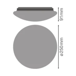 Ledvance Surface Cirkulär 250 13W 830 920lm Vit IP44 | Varm Vit