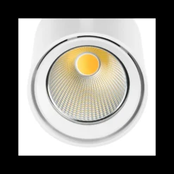 Noxion LED Spårbelysning 3-Fas Spot Stella Vit 24W 2000lm 50D - 930 Varm Vit | UGR <19 - Bästa Färgåtergivning