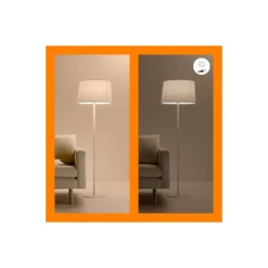 WiZ Smart LED E27 Globe Filament Matt 5W 470lm | Bästa Färgåtergivning - Dimbar - Ersättare 40W